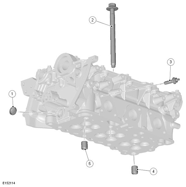 G11695284