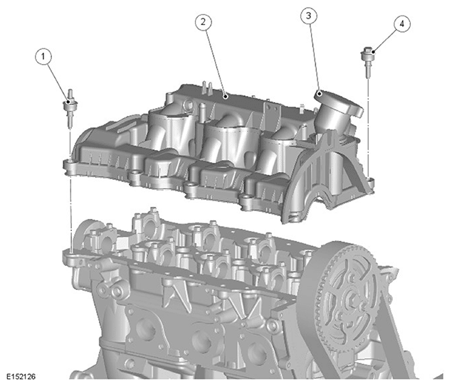 G11695286