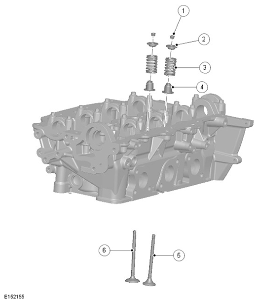 G11695287