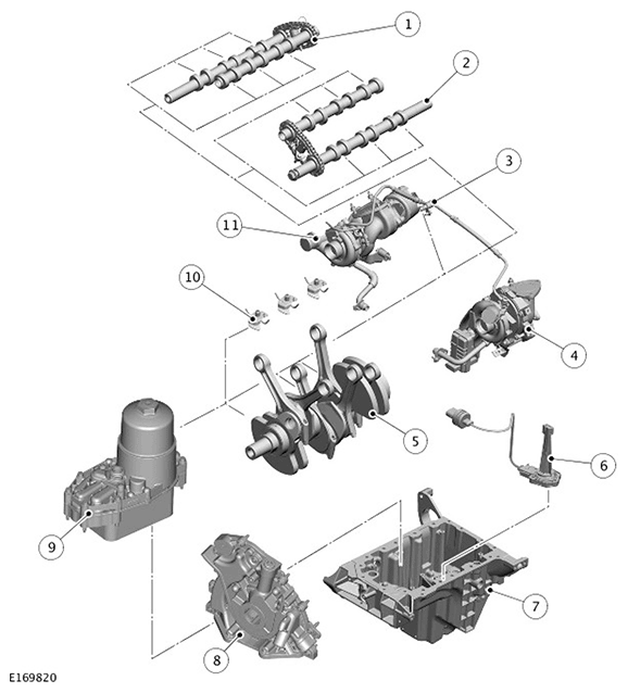 G11695291