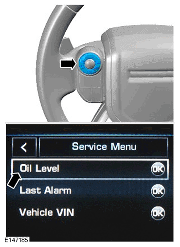 G11695306