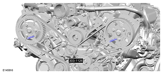 G11695444