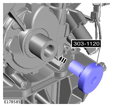 G11695486