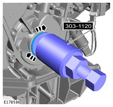 G11695487