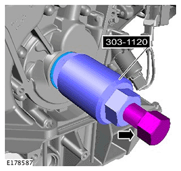 G11695488