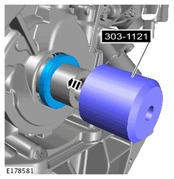 G11695494