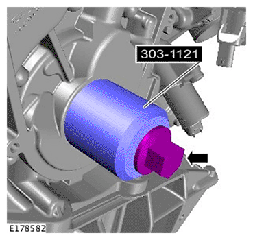 G11695495