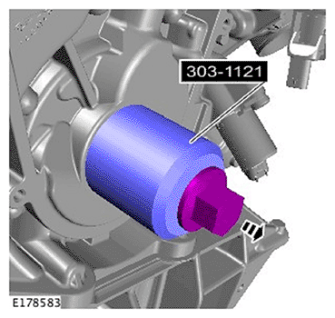 G11695496