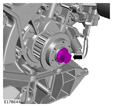 G11695508
