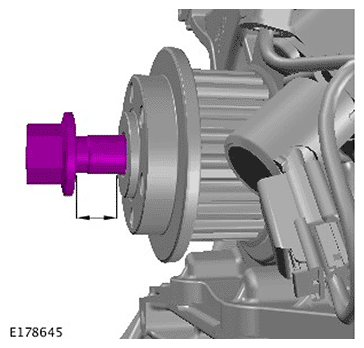 G11695509