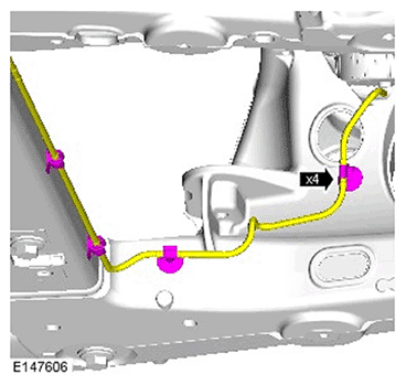 G11695614