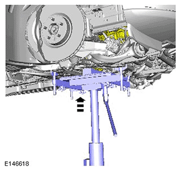 G11695616