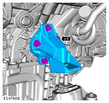G11695617