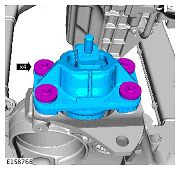 G11695618
