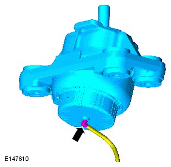 G11695619