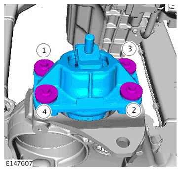 G11695624