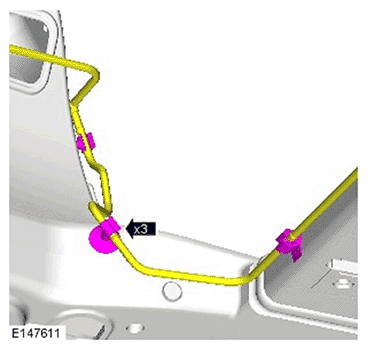 G11695634