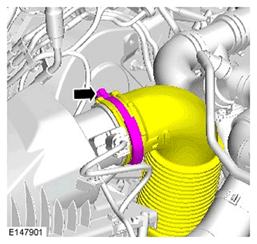 G11695654