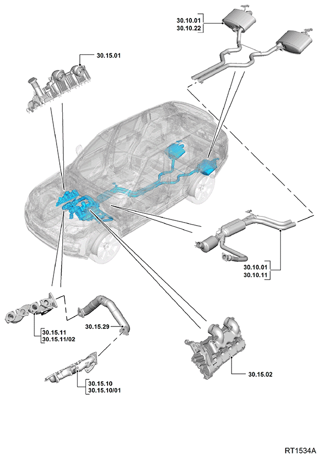 G11695655
