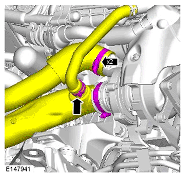 G11695679
