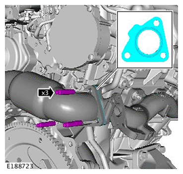 G11695721