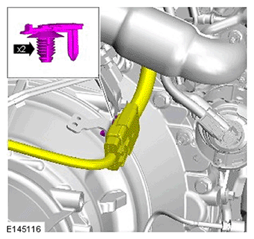 G11695746