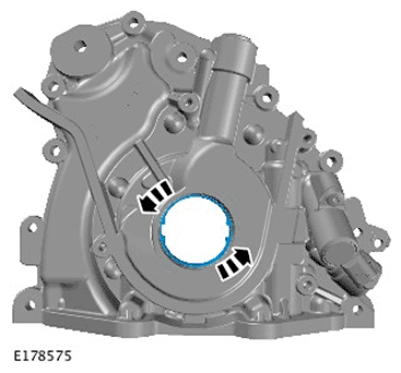G11695809