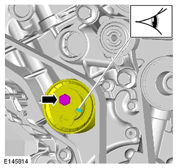 G11695838
