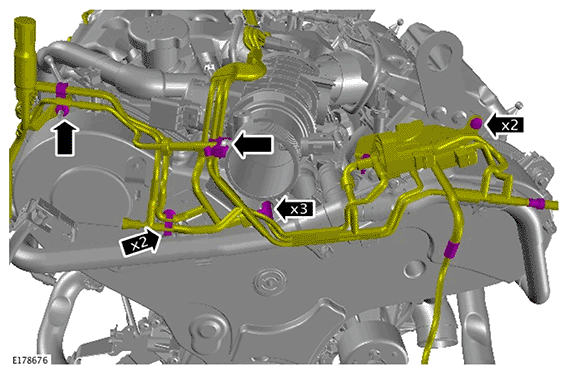 G11695852