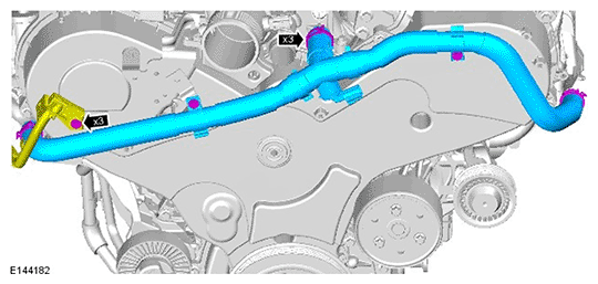 G11695853