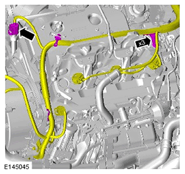 G11695865
