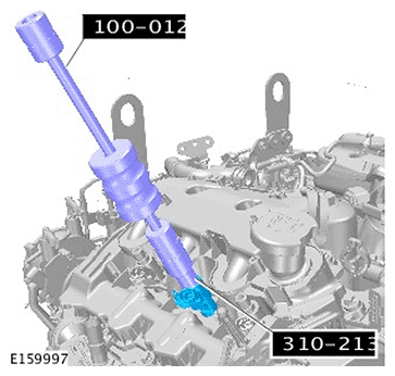 G11695879