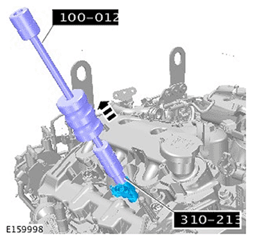 G11695880