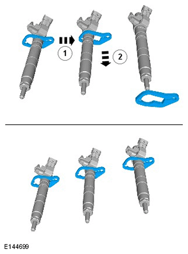 G11695883