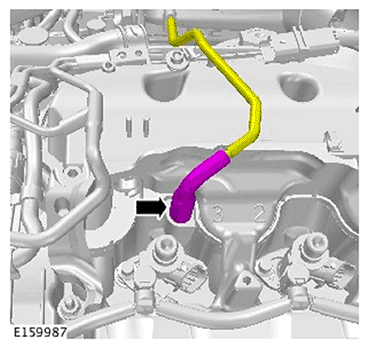 G11695884