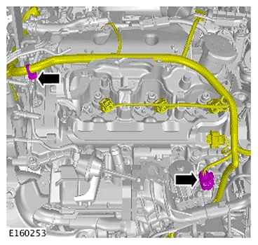 G11695885