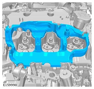 G11695887
