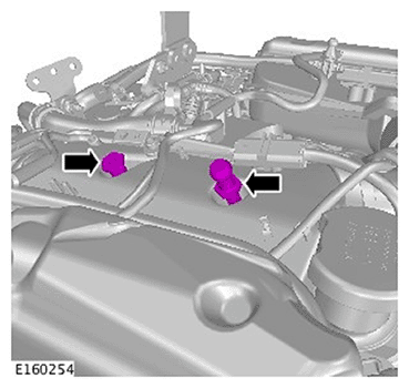 G11695888