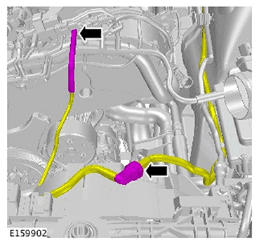 G11695922