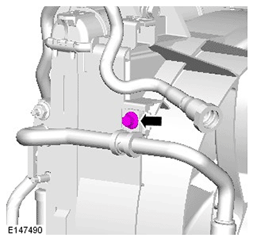 G11695923