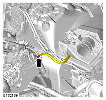 G11695925