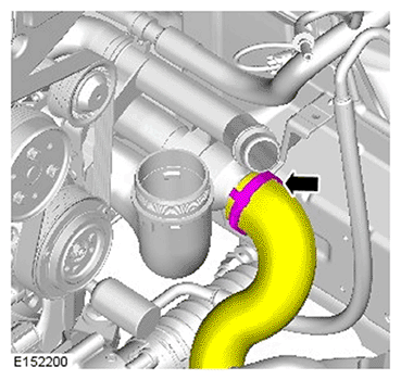 G11695930