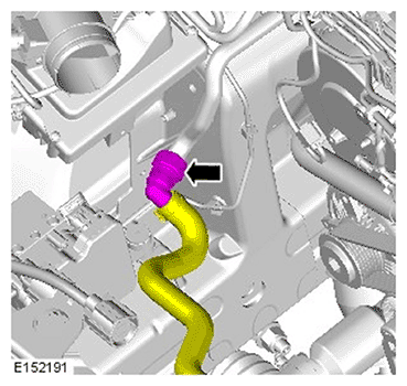 G11695937