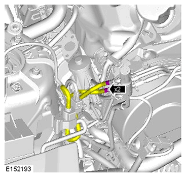 G11695938