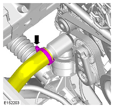 G11695939