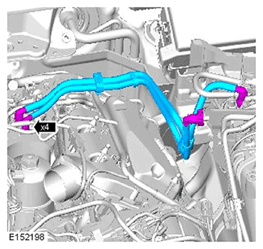 G11695954