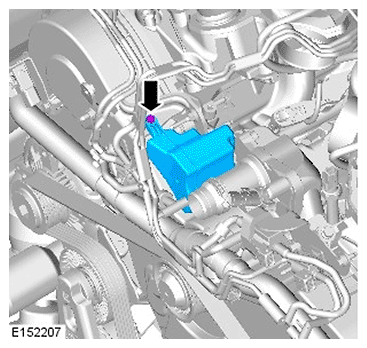 G11695955