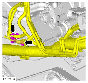 G11695956