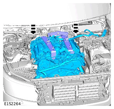 G11695970