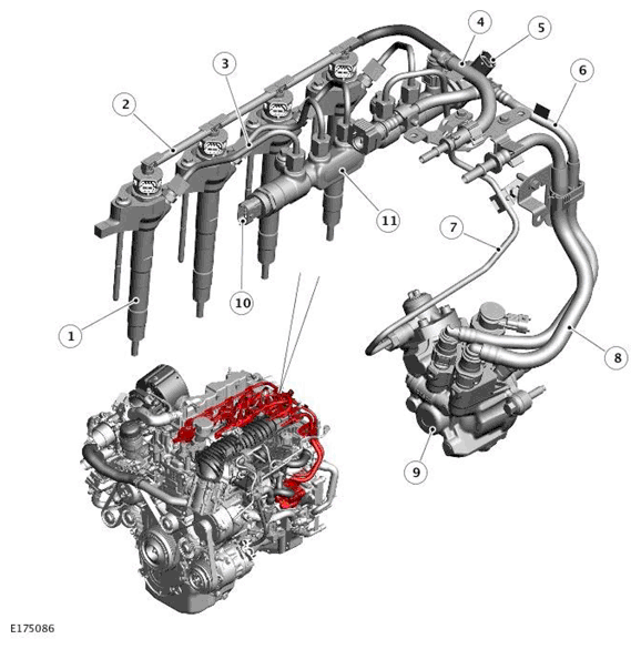 G11697803